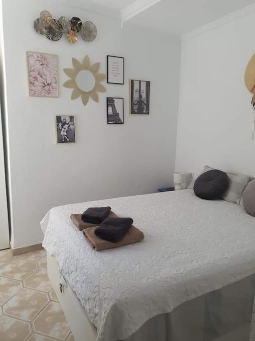 Costa Blanca Family Apartments One Bedroom Apartment Torrevieja Exterior photo